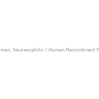NXPH1 Human, Neurexophilin 1 Human Recombinant Protein, Sf9